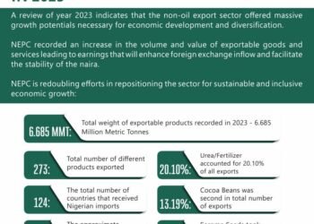 Non-oil exports as key to economic development and diversification –Toni Kan