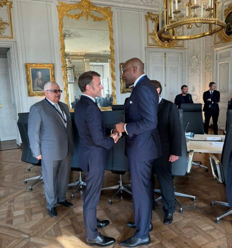 Aigboje Aig-Imoukhuede appointed President of France Nigeria Business Council