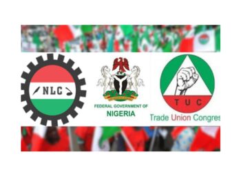 NLC to Akume: Those padding budgets, looting treasury guilty of treason — not us