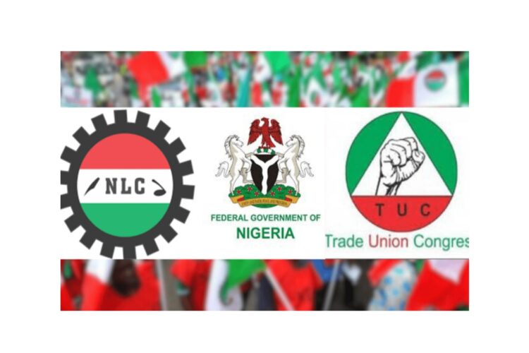 NLC to Akume: Those padding budgets, looting treasury guilty of treason — not us