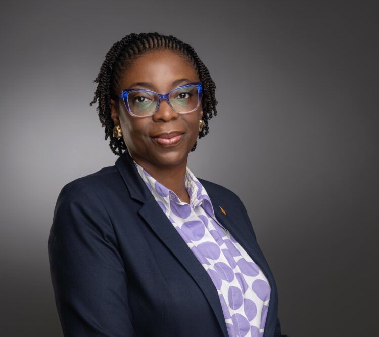 Access Holdings’ N351 Billion Rights Issue opens for subscription