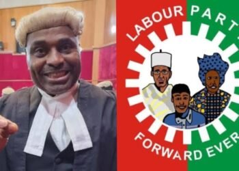 LP: More moles like Okonkwo will be exposed, fumigated out of our party