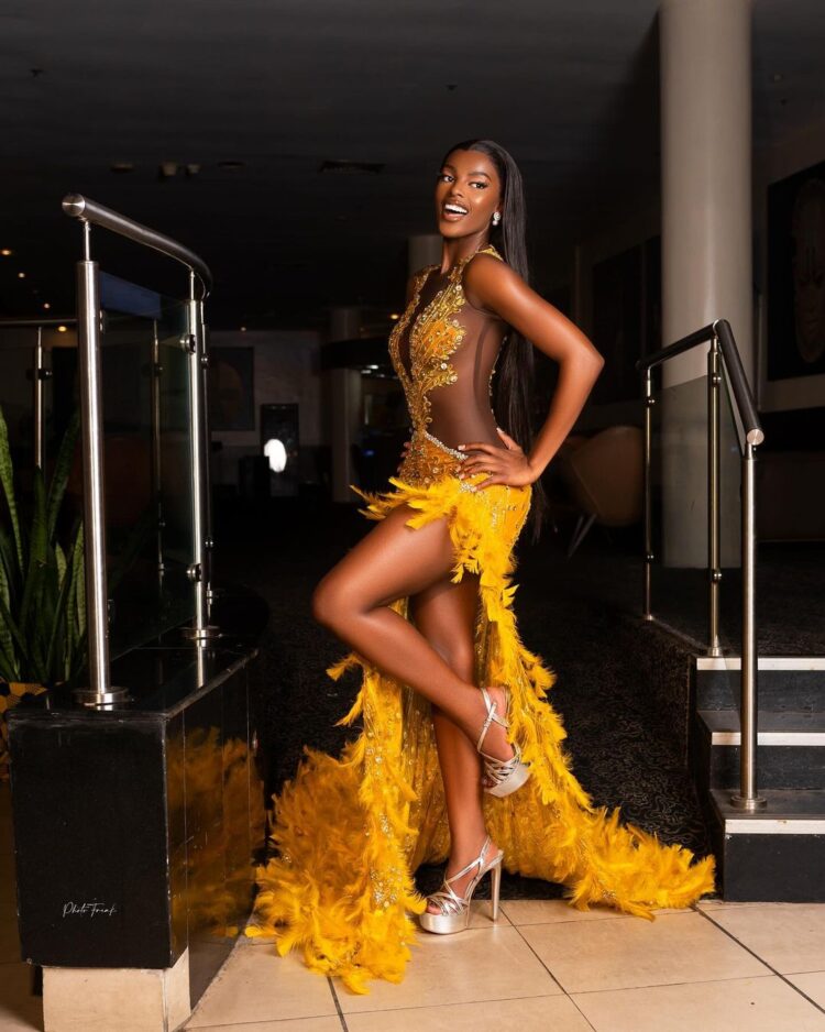 Chidinma Adetshina wins Miss Universe Nigeria 2024