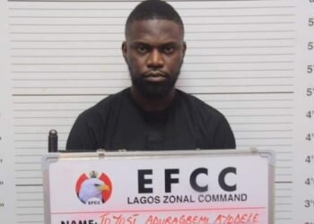 EFCC arraigns Agrorite CEO, Ayodele Toyosi, over ‘N600m, $50,000 scam’