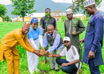 50,000 target: FirstBank, NCF extend tree planting to FCT