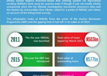 CBN’s bold move at NIRSAL –Toni Kan