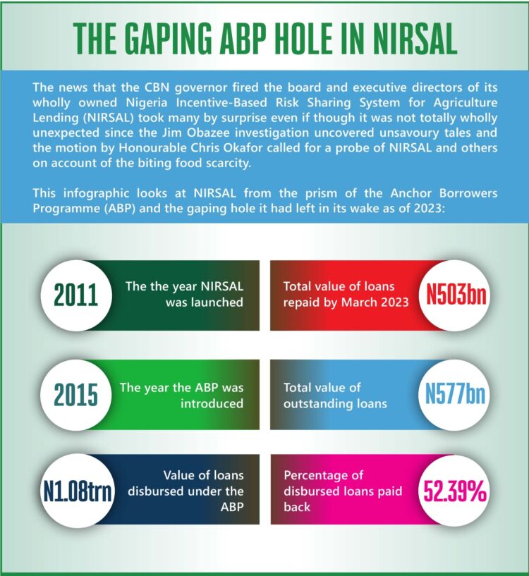 CBN’s bold move at NIRSAL –Toni Kan