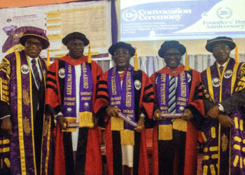 Honour For Mr. Revenue: Ayodele Subair Receives Honorary Doctorate Degree