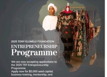 The Tony Elumelu Foundation opens applications for 2025 entrepreneurship programmes