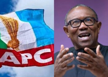 Peter Obi alleges threat to life over criticism of Tinubu government