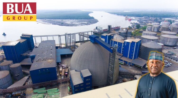 BUA chairman Abdul Samad Rabiu in land grabbing allegation