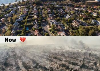 How Primate Ayodele foretold deadly US wildfire in 2025 prophecies