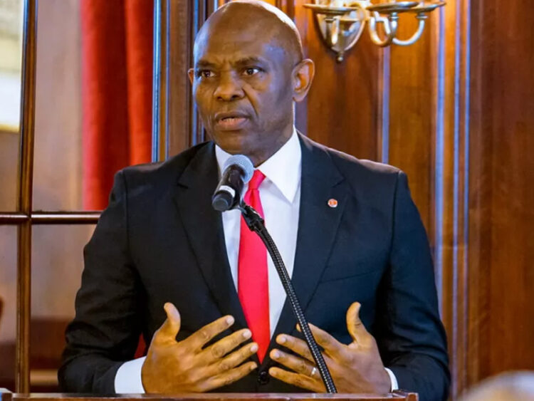 Tony Elumelu: Why I venture into Oil, Gas, Power, others