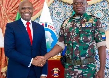 Elumelu commits to boosting Gabon’s infrastructure, youth empowerment