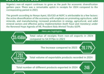 Nonye Ayeni, NEPC’s impressive 2024 and Q1 2025 performance by Toni Kan