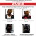 EFCC declares four wanted over CBEX crypto fraud 