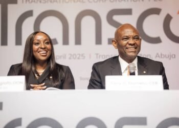 Elumelu: Nigeria economy future hinges on power sector reform