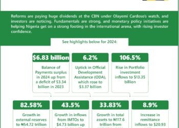 Yemi Cardoso and his safe pair of hands at the CBN –Toni Kan