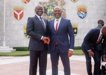 Gabonese President honours Tony Elumelu with National Award for Championing African Development