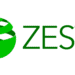 Zest: Revolutionizing Payment Solutions for African Businesses