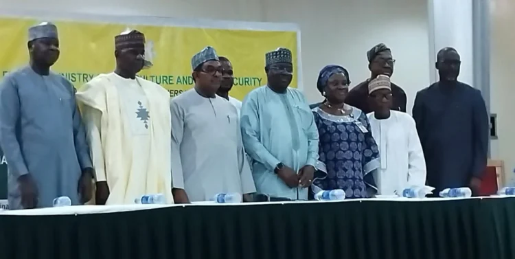 FAO warns 34.7m Nigerians risk food insecurity in 2026