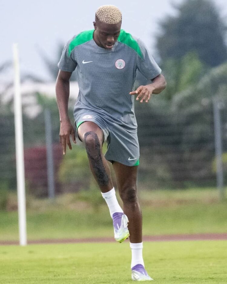 We get scared whenever Victor Osimhen goes to play for Nigeria – Galatasaray