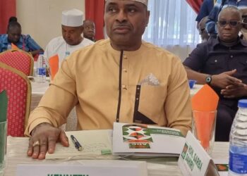 BREAKING: Kenneth Okonkwo Elected Into The National Working Committee Of ADC