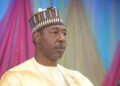 Governor Zulum approves hospital, water facilities, others In Kirawa, Borno