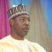 Governor Zulum approves hospital, water facilities, others In Kirawa, Borno
