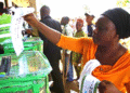 Parties sign peace accord ahead of Niger LG poll