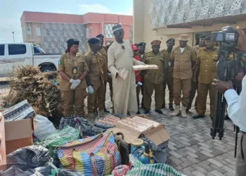 NDLEA destroys cannabis farm, arrests 58 suspects in Adamawa