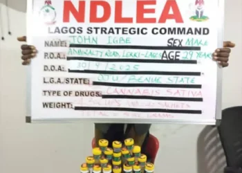 NDLEA smashes cocaine cartels behind six UK-bound shipments, arrests arrowhead, 5 others