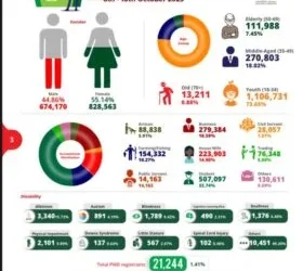 Borno leads as INEC online pre-registration hits 7.4m