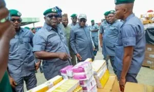 Customs: PTML command generates ₦350.3bn in 9 months