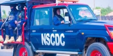 500 illegal miners arrested, 270 facing prosecution – NSCDC