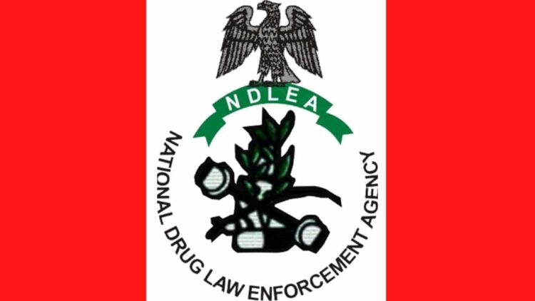 NDLEA intercepts 290,450 tramadol, pregabalin pills