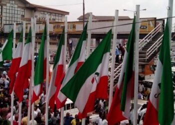 PDP zones 2027 Presidential Ticket to South