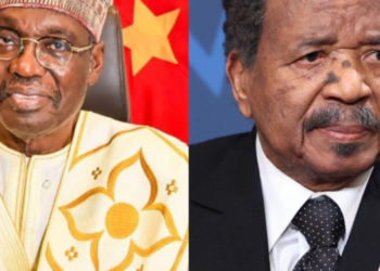 Cameroon: Issa Tchiroma Defeat Paul Biya To Win Presidential Election
