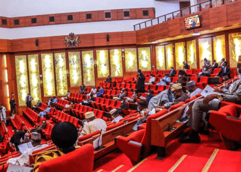 Senate approves life imprisonment for paedophiles