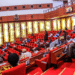 Senate approves life imprisonment for paedophiles