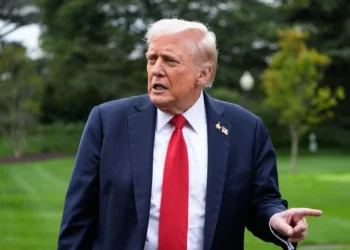 Donald Trump to mark 80th birthday with Martial arts cage fight