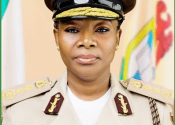 Nigeria Immigration commence nationwide clampdown on foreigners with expired visas