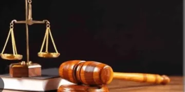 2 men in Court for allegedly stealing 10 tubers of yam