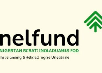 NELFUND disburses N116.4bn student loans to 624,000 students