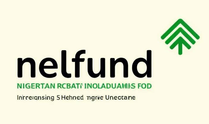 NELFUND disburses N116.4bn student loans to 624,000 students