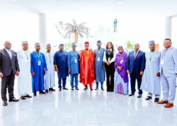 Why Nigerians can’t afford higher power tariffs — NISO