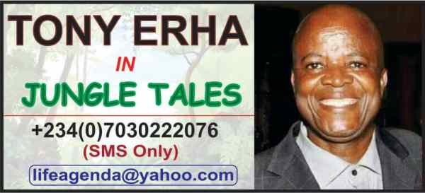 Tales and rhythms of a coup d’etat in Nigeria’s country, By TONY ERHA