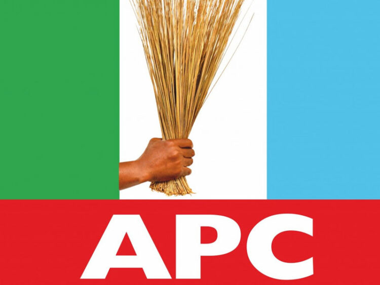 APC wins all 25 LG Seats In Niger Council Polls