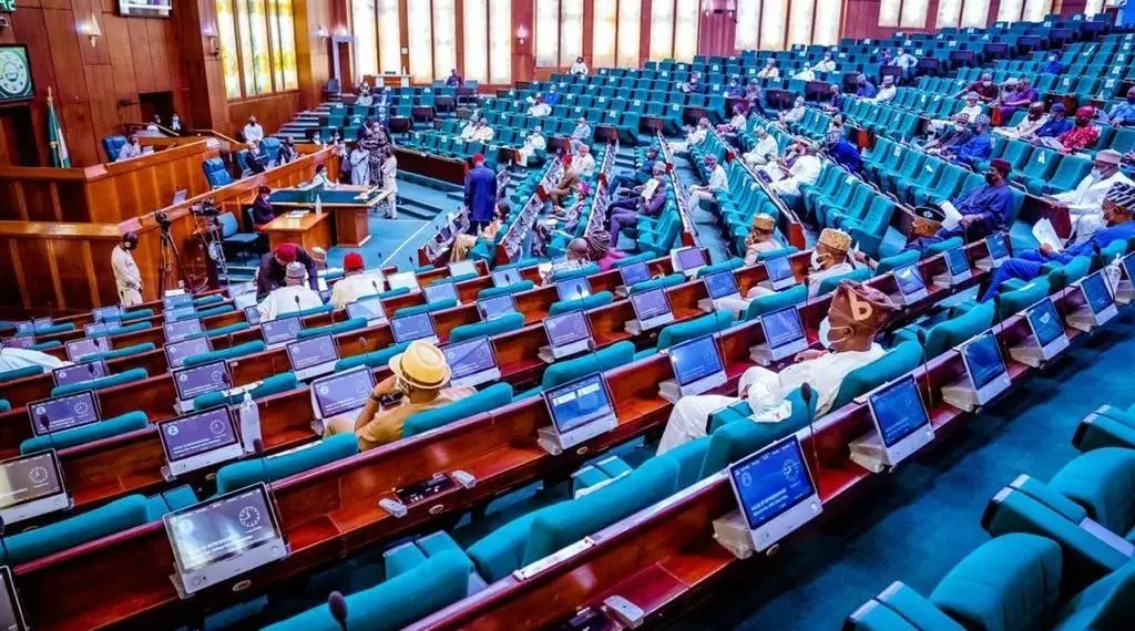 Reps pass bill to reduce Senate, governorship age to 30