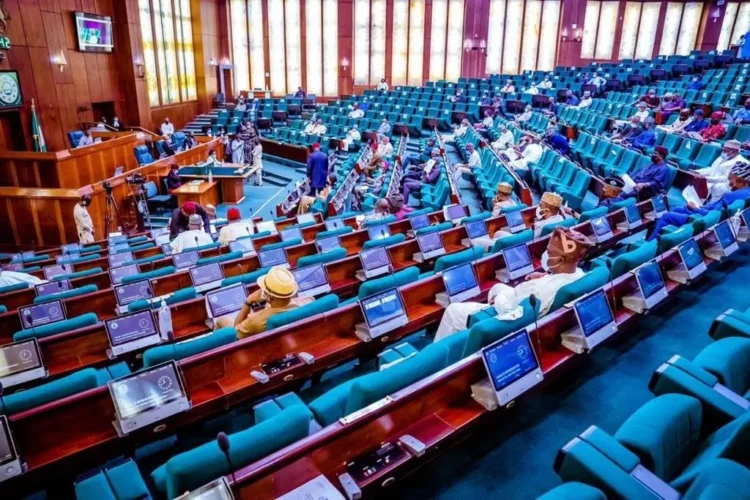 Reps pass bill to reduce Senate, governorship age to 30